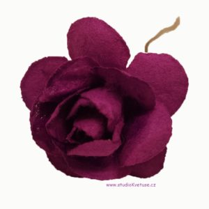 Růžička fialová 10