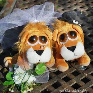 Lvíčci ve svatebním a