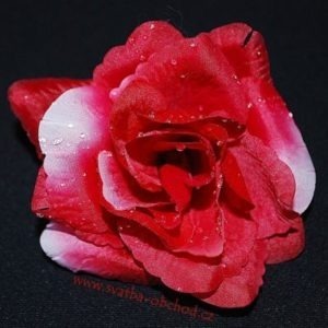 Květ růže 01