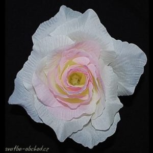 Květ růže 02 růžový bílý a