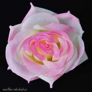 Květ růže 03 růžový bílý a