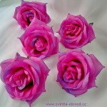 Květ růže 03 růžový fialový
