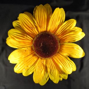 Květ slunečnice 01 velký