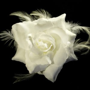 Růže 14 bílá s peřím 10cm