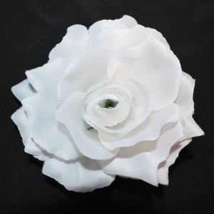 Květ růže 12 čistě bílý