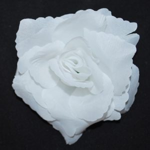 Květ růže 11 čistě bílý
