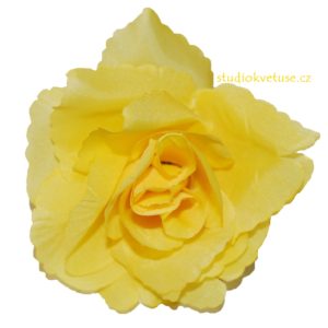 Květ růže 18 žlutý
