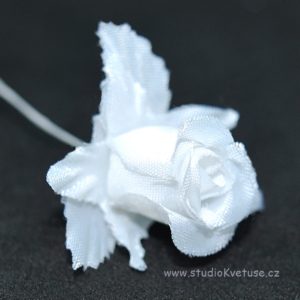 Růžička bílá 15