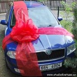 Svatební výzdoba aut